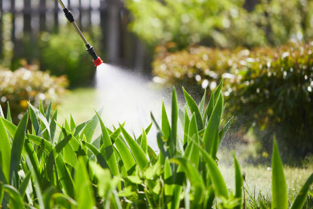 24/7 Emergency Fumigation Services experts in Monticello, MN