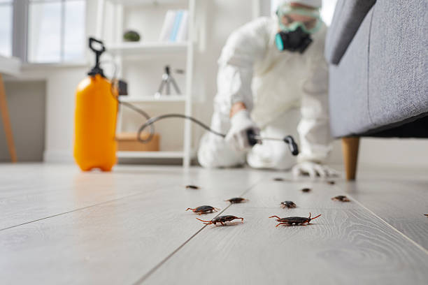 Trusted Termite Control service in Monticello, MN - Nex Pest Control