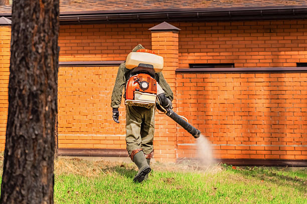 Trusted Cockroach Control service in Monticello, MN - Nex Pest Control